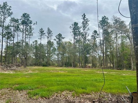 Spacious Land Parcel in Mobile