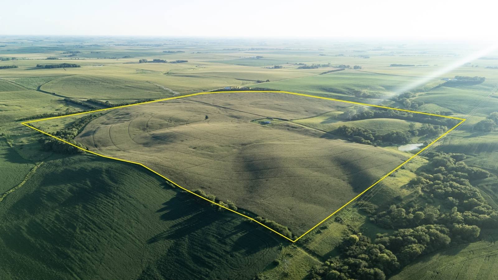 Irrigated Farmland and Pasture
