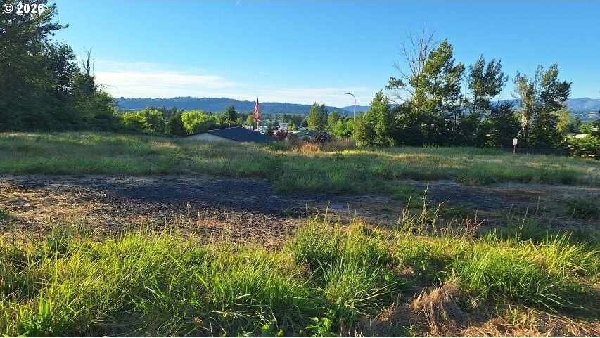 Picture 41
