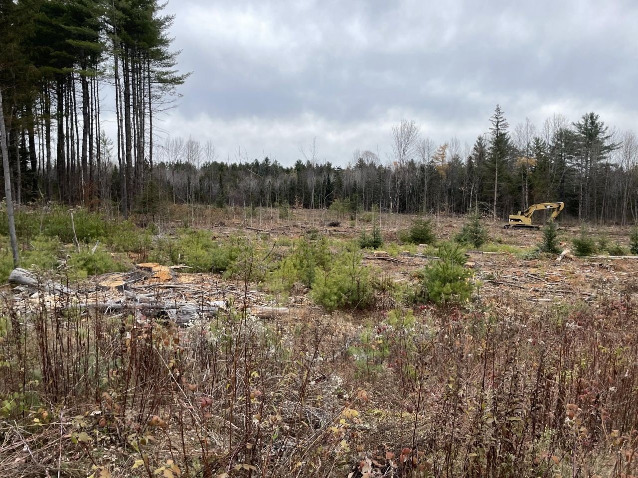 Harmony, ME Cleared Land