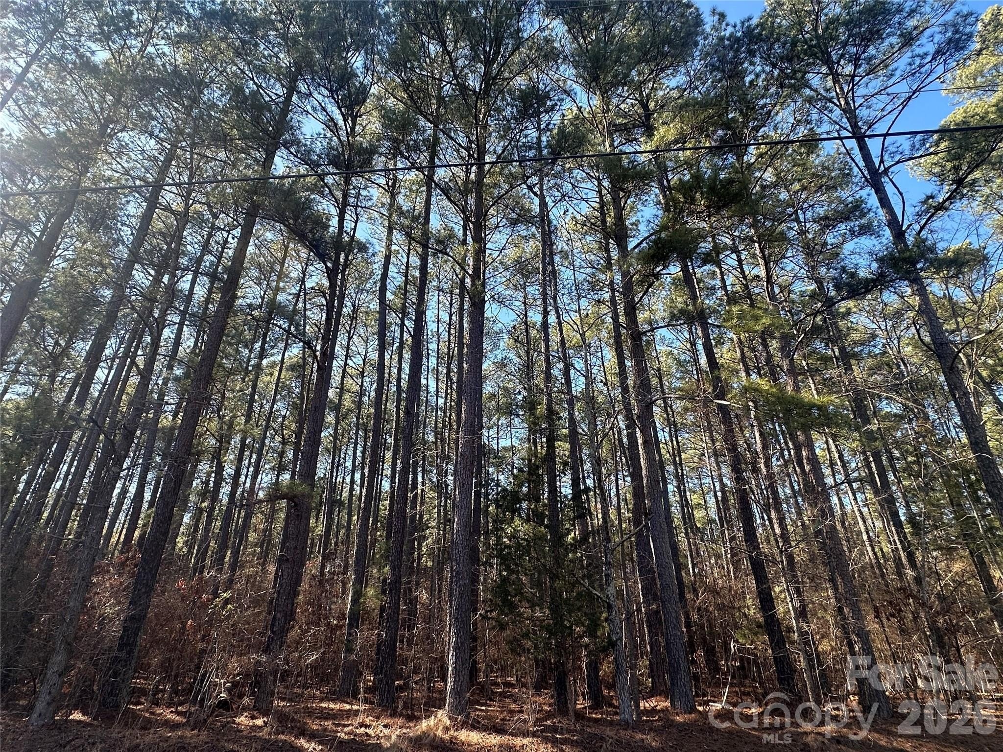 Residential Land Near High Rock