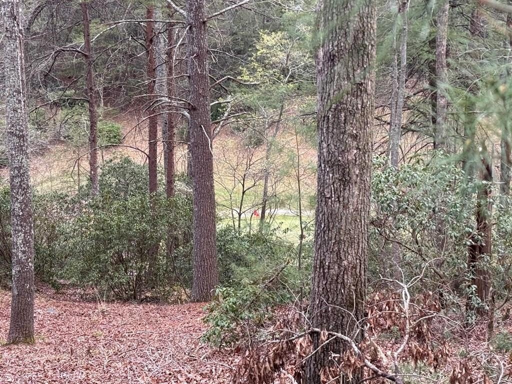 Golf Course View Building Lot