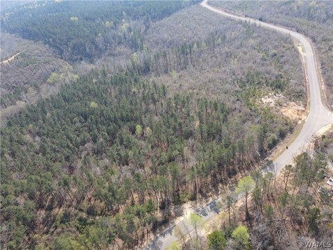 Unrestricted Land in Northport, Alabama
