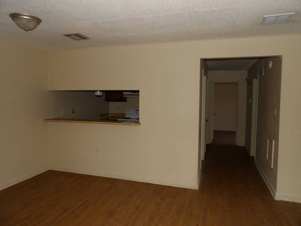 Picture 4
