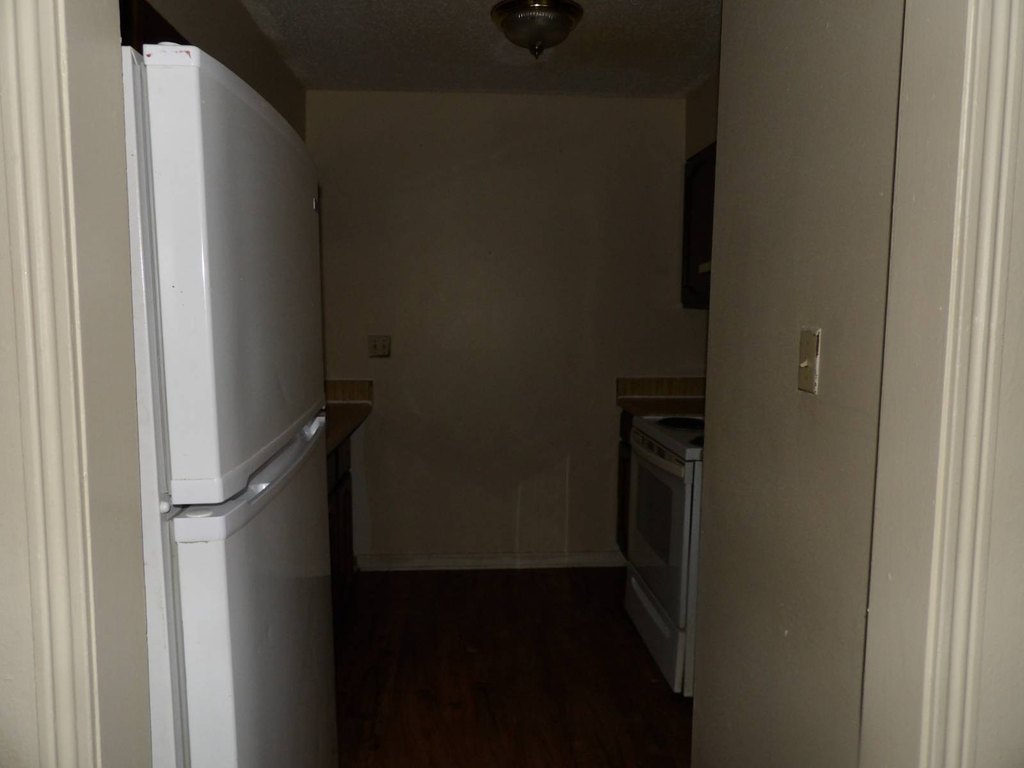 Picture 7