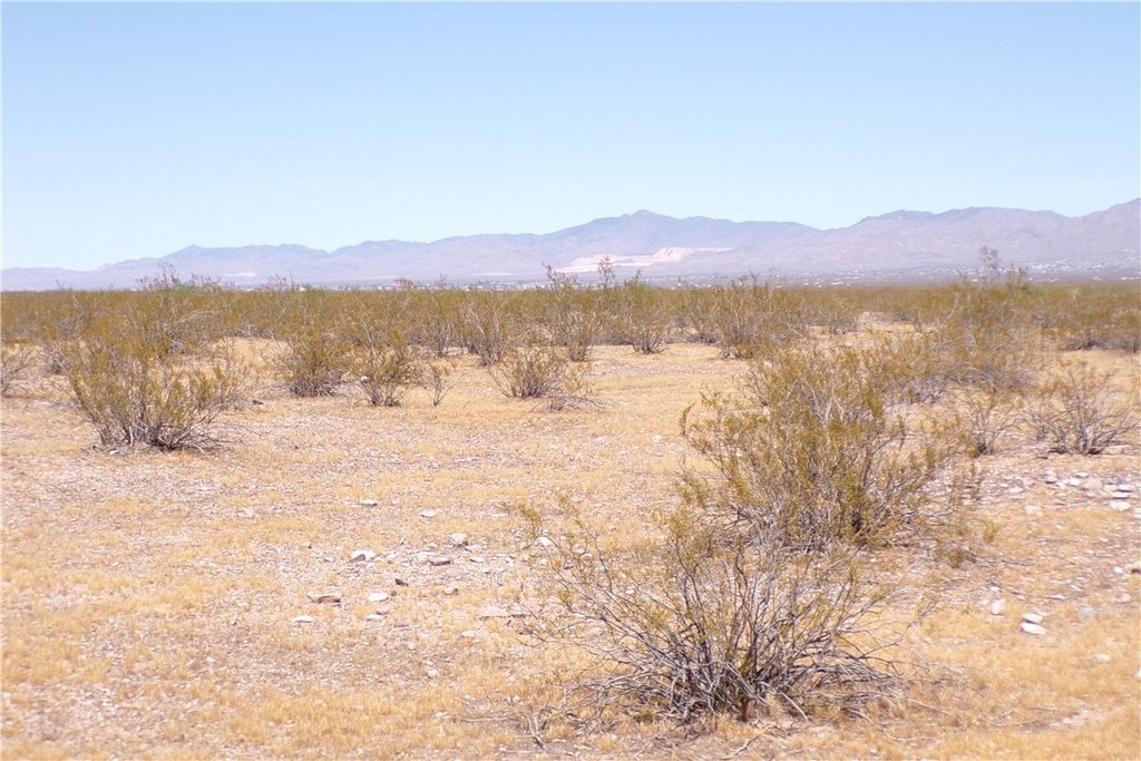Picture 22