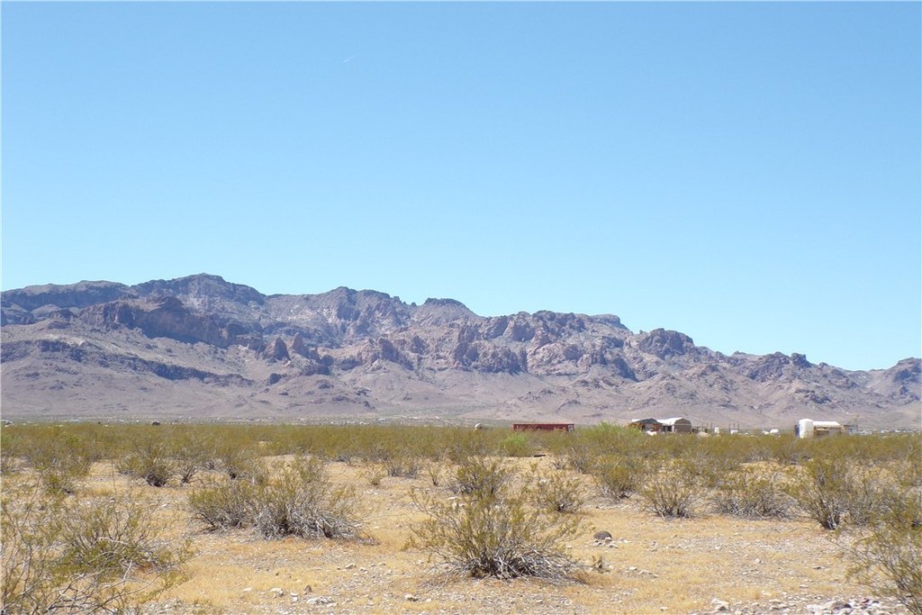 Picture 9