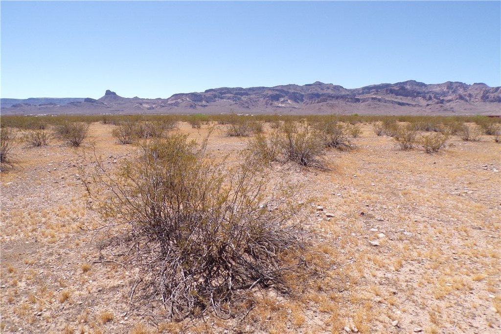 Picture 5