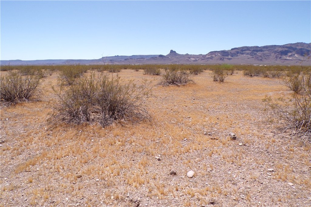 Picture 14