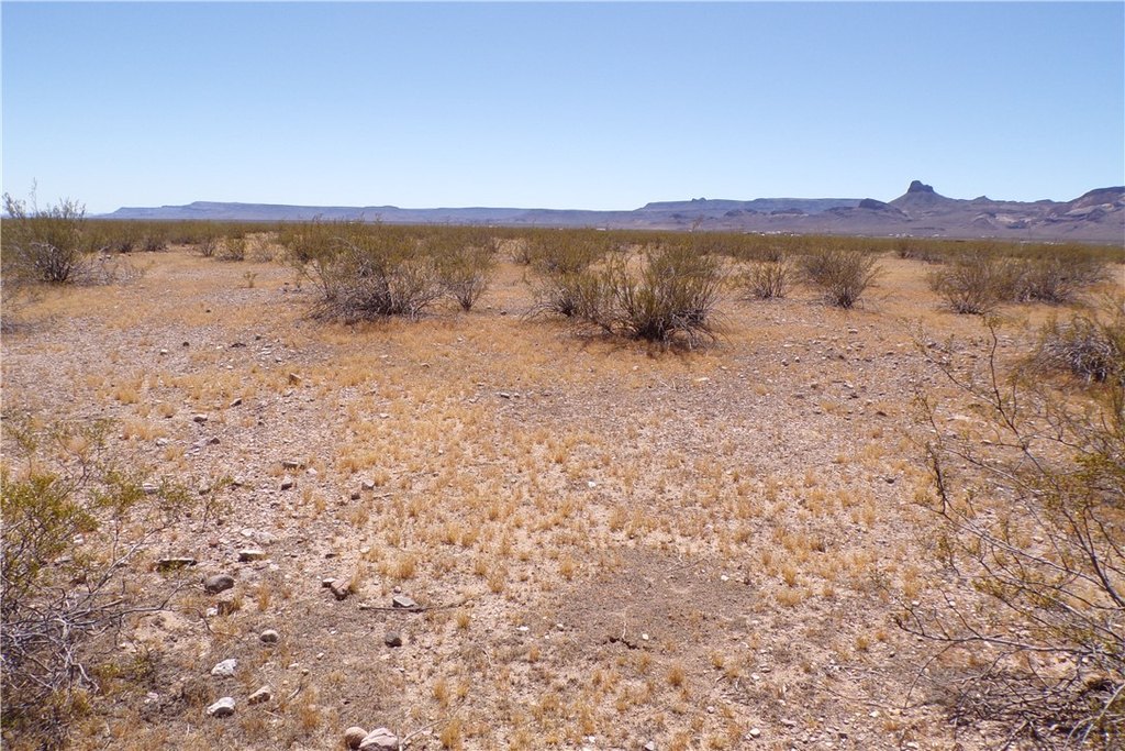 Picture 6