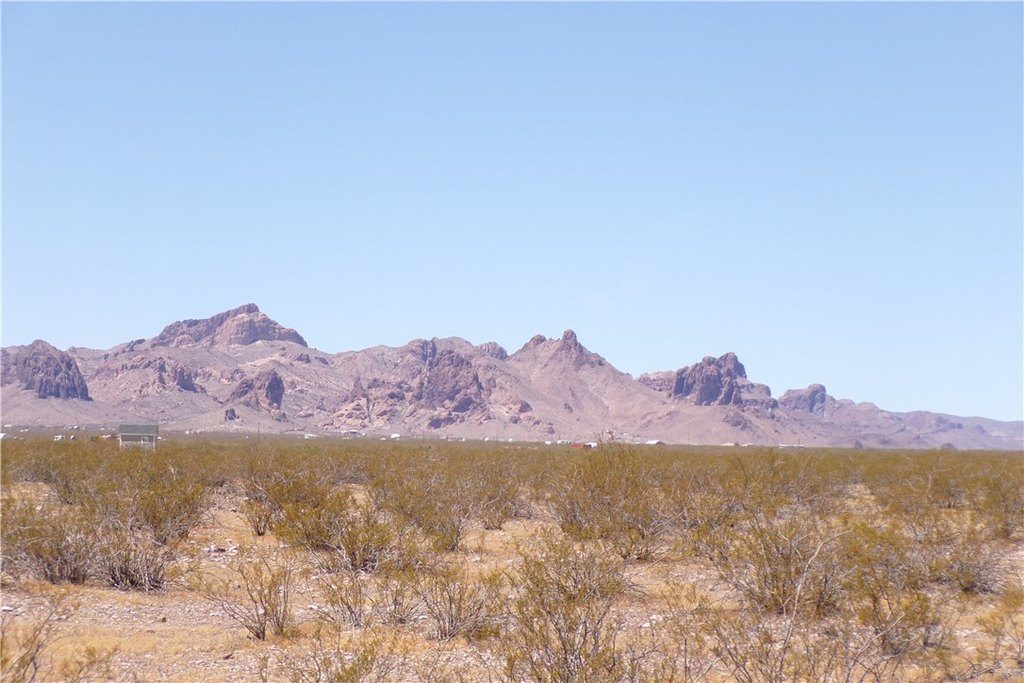 Picture 10