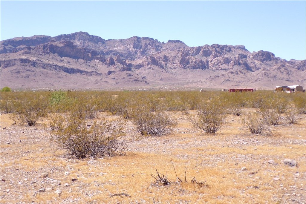 Picture 24