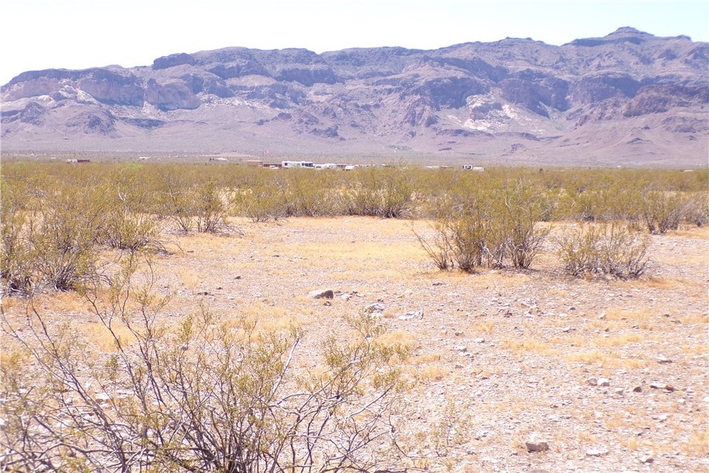 Picture 25