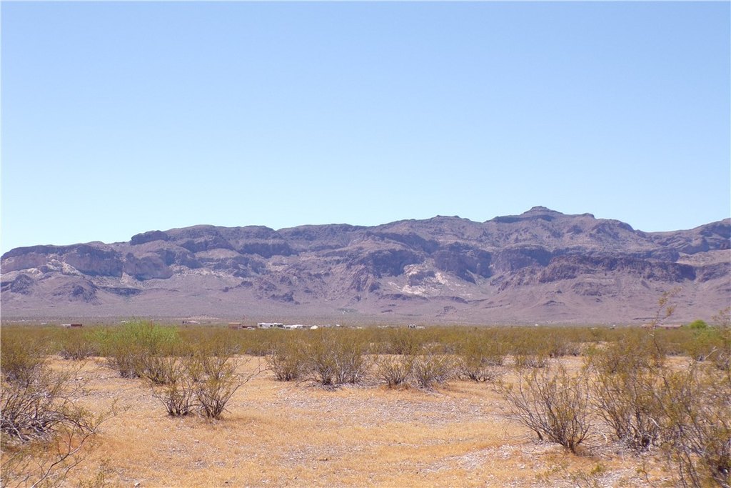 Picture 11