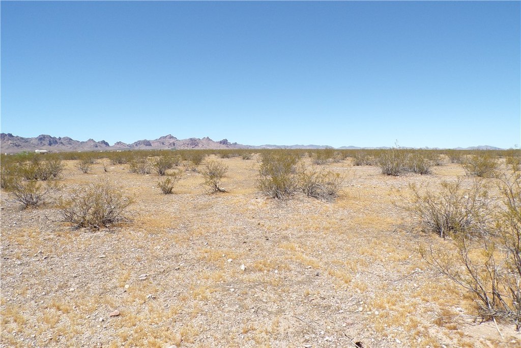 Picture 16