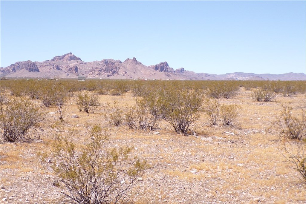 Picture 23