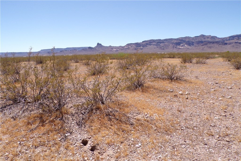 Picture 28