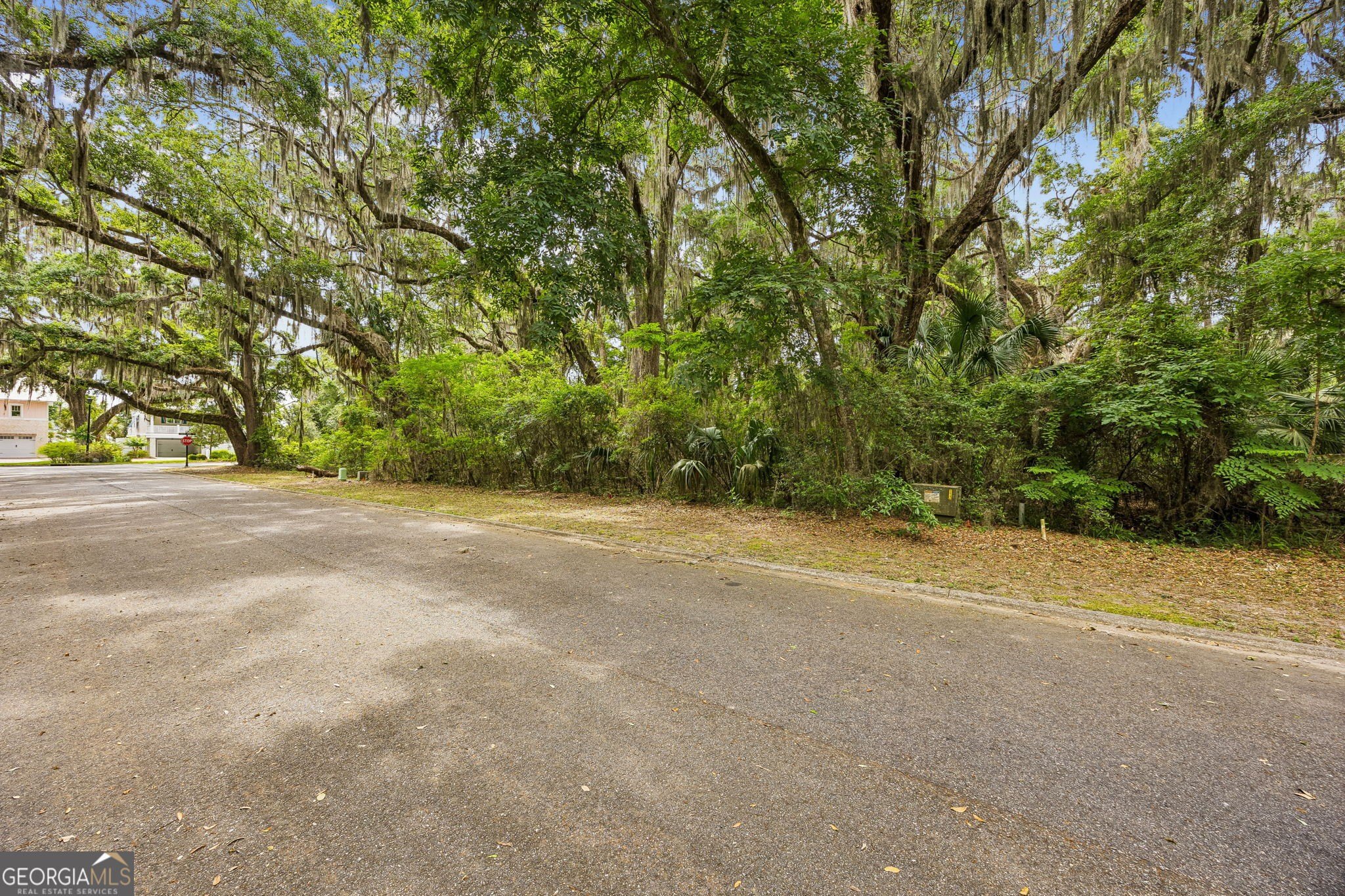 Residential Lot in Gated Community