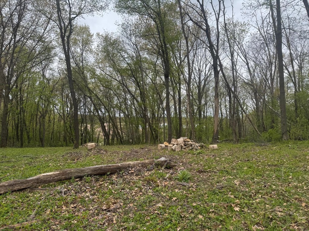 Picture 4