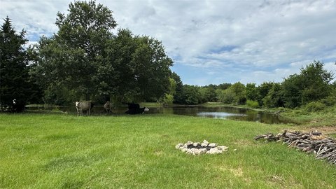 Fenced Hunting and Livestock Acreage
