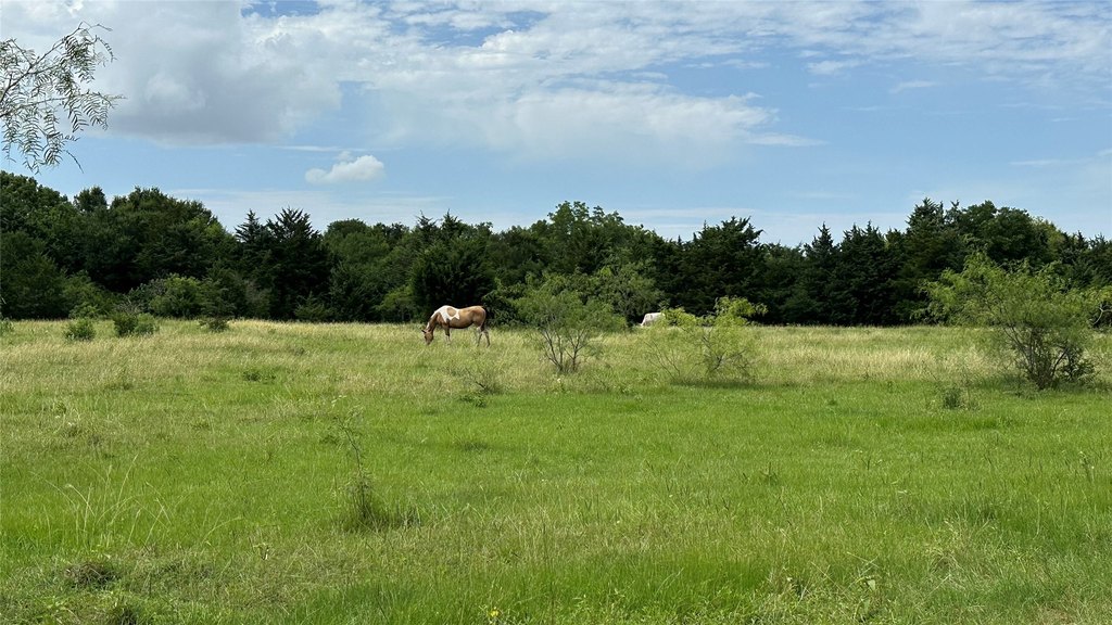 Picture 22