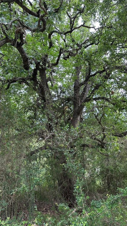 Picture 25