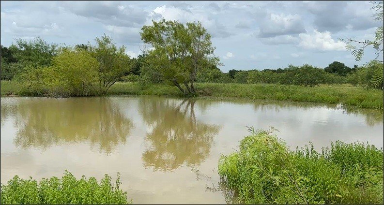 Picture 21
