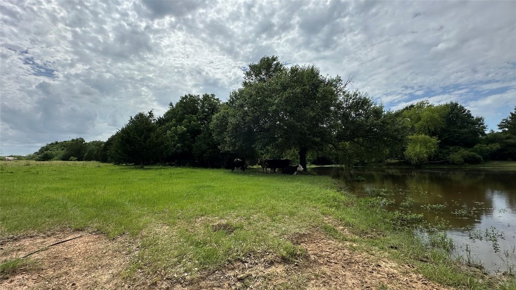 Picture 20