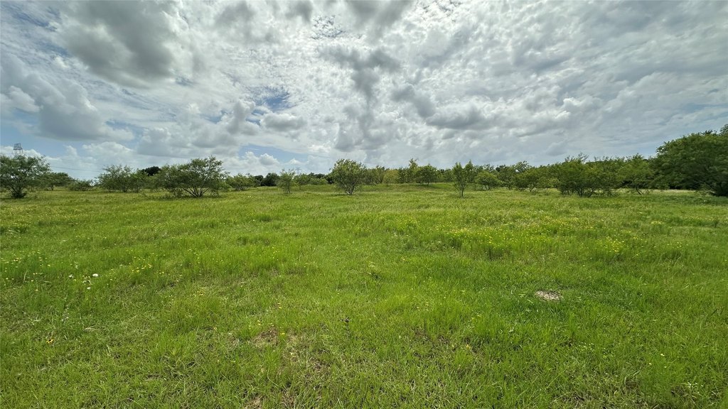 Picture 26