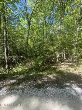 Unrestricted Wooded Lots Near Lake