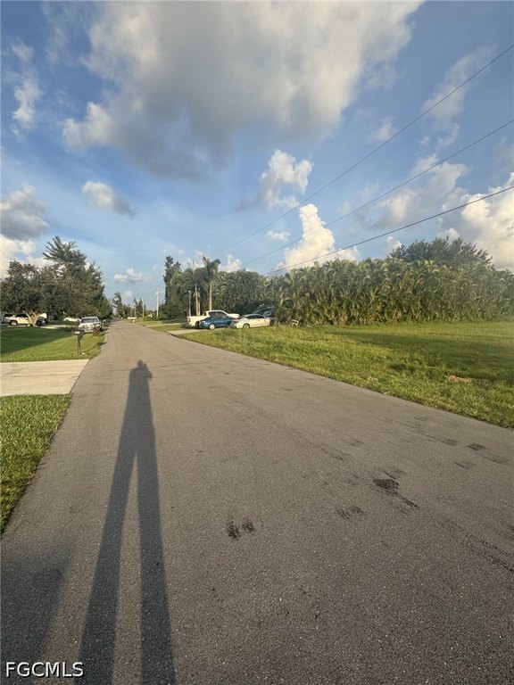 Picture 10