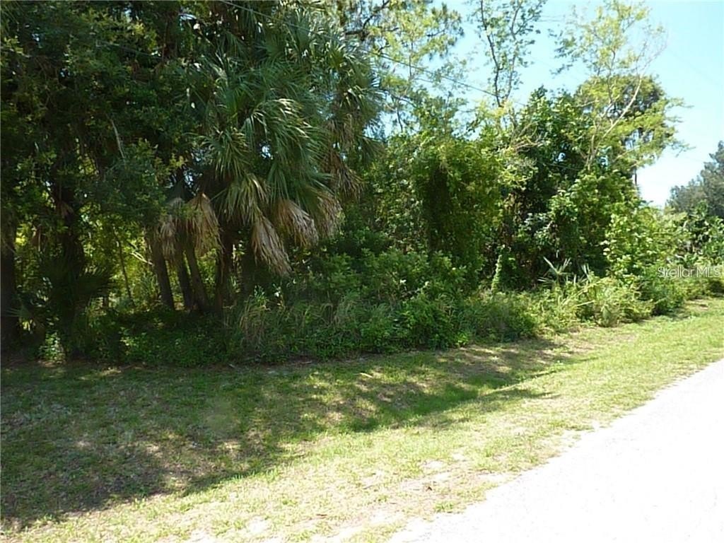 Picture 3