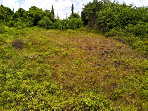 One Acre Vacant Land Parcel