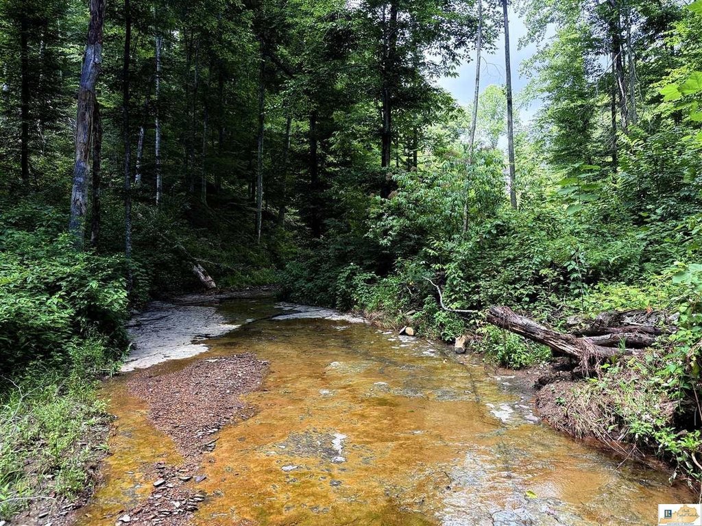 Picture 19