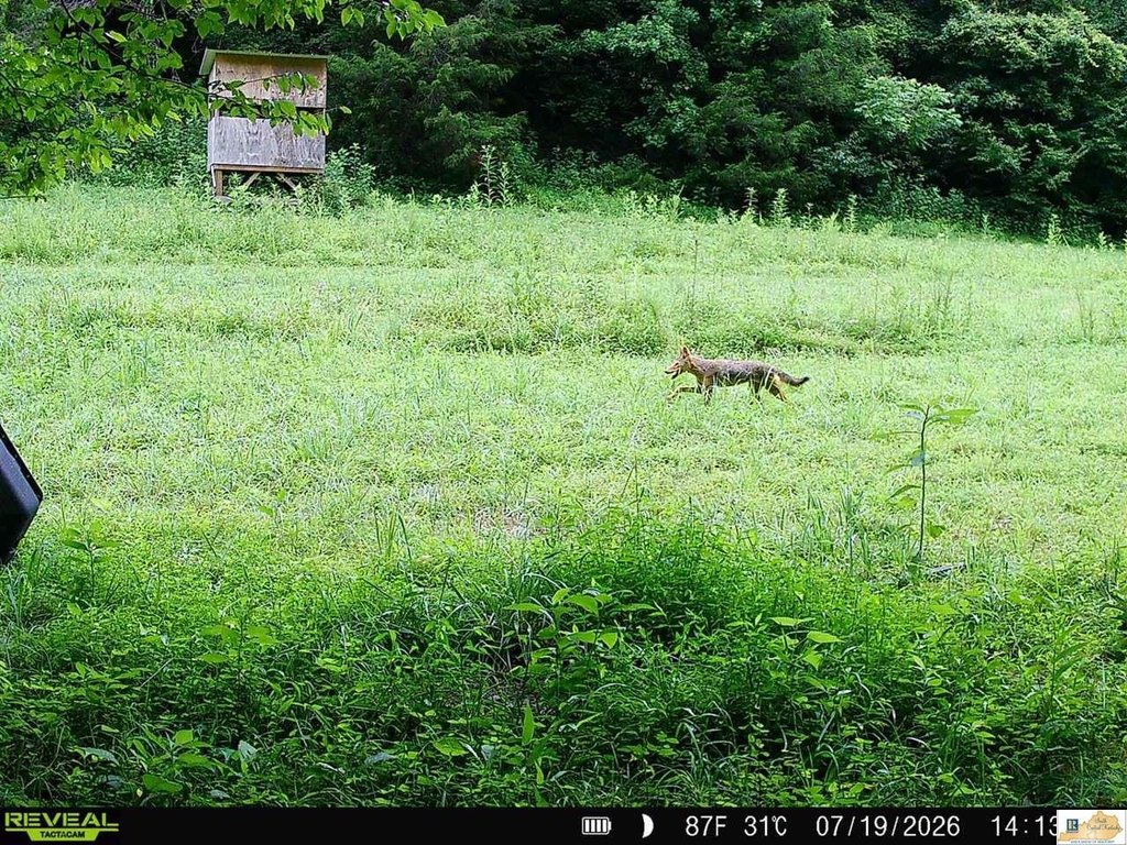 Picture 28