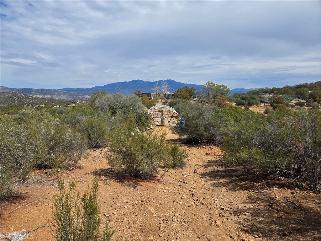 Anza Land with Mountain Views