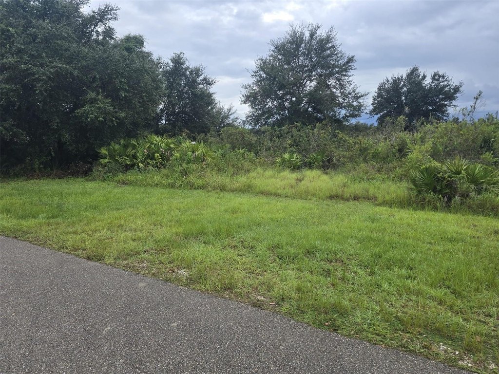 Picture 6