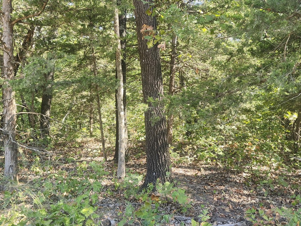 Picture 4