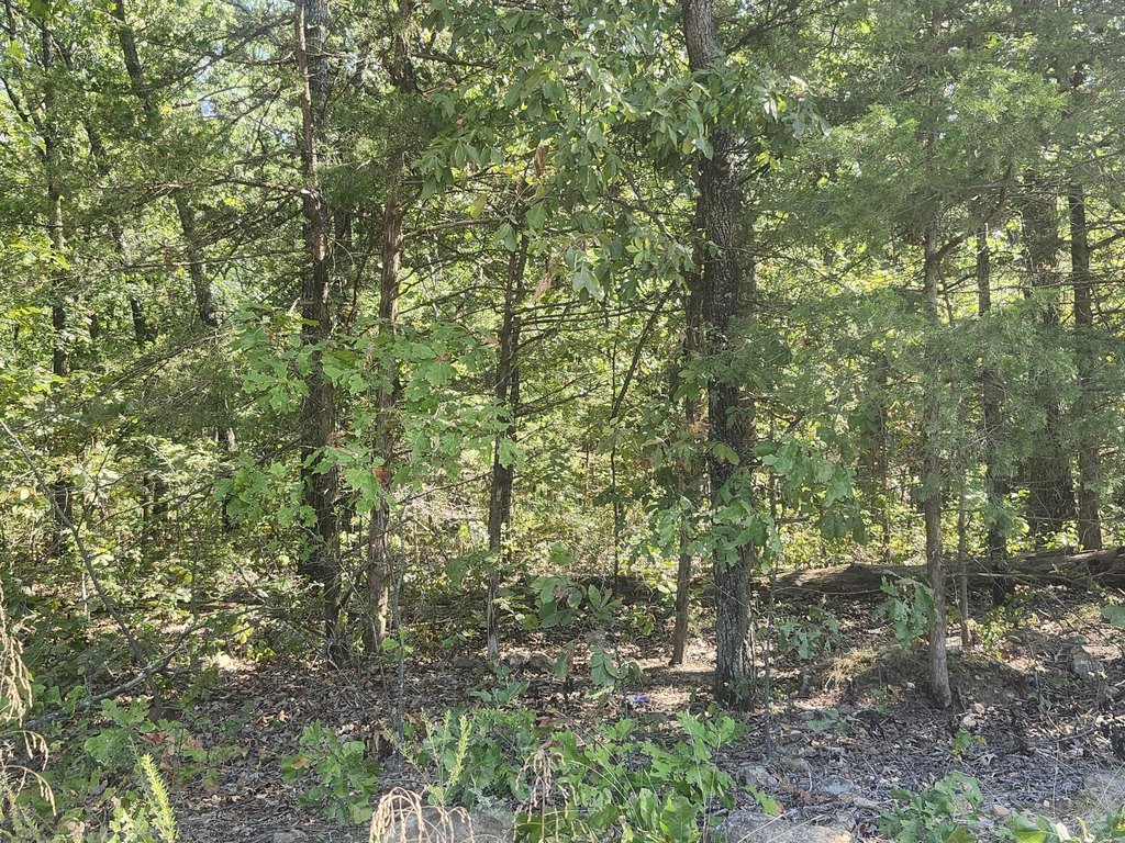 Picture 3