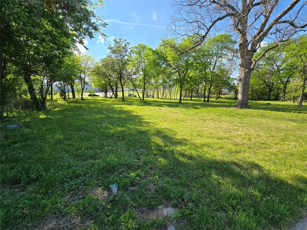 Picture 20