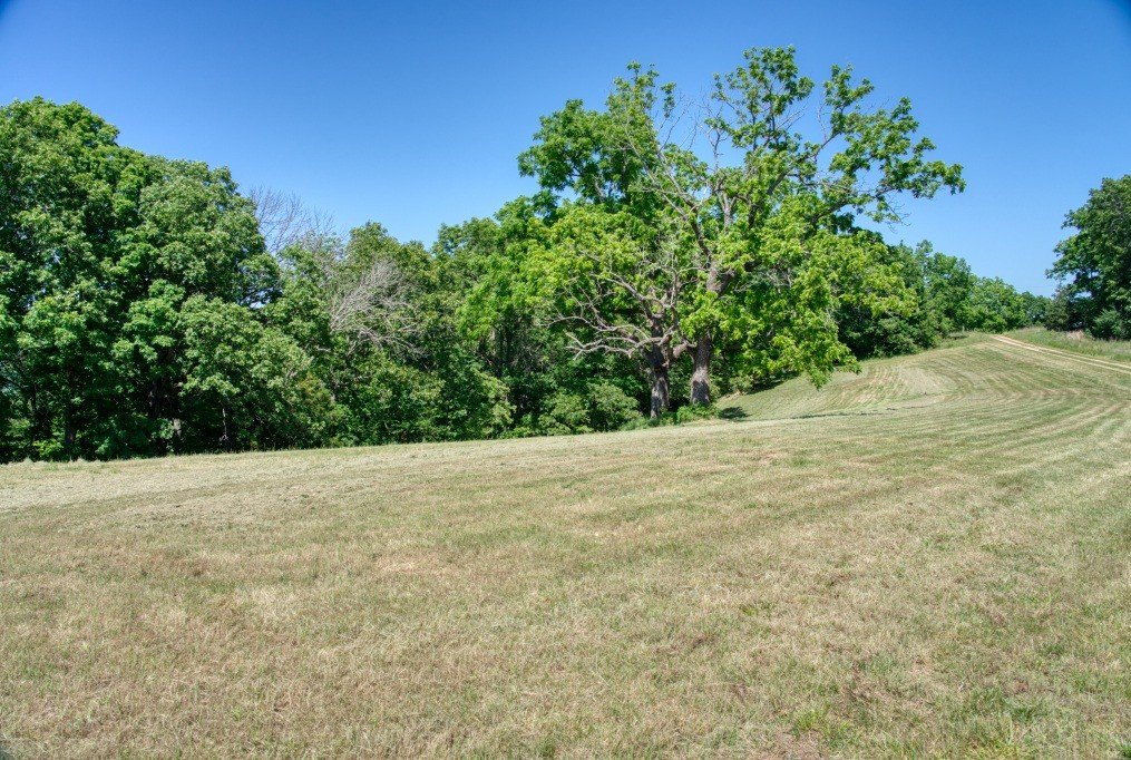 Picture 37