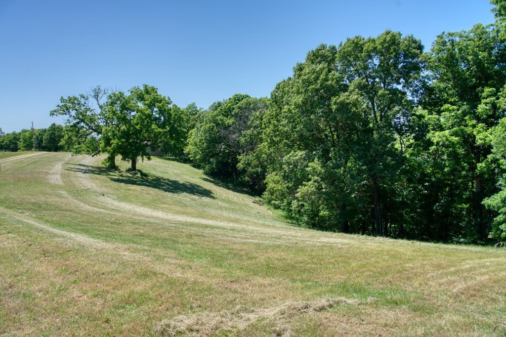 Picture 11