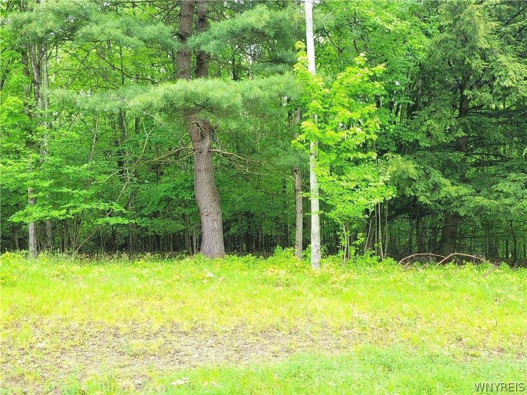 Picture 2