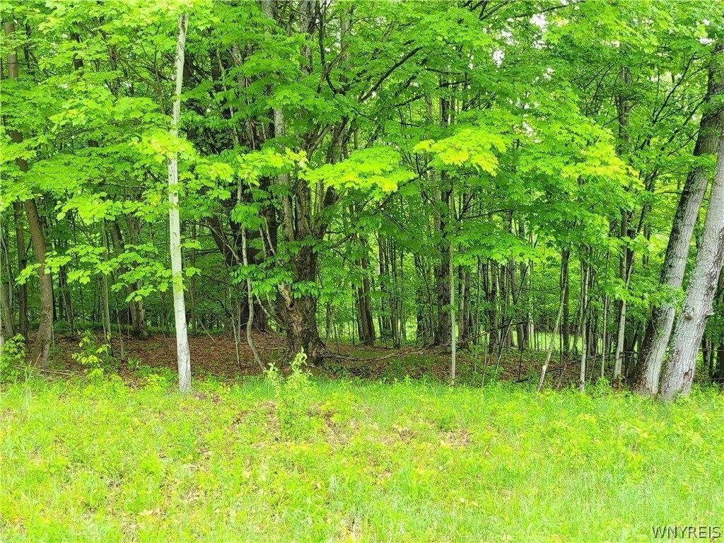 Picture 4