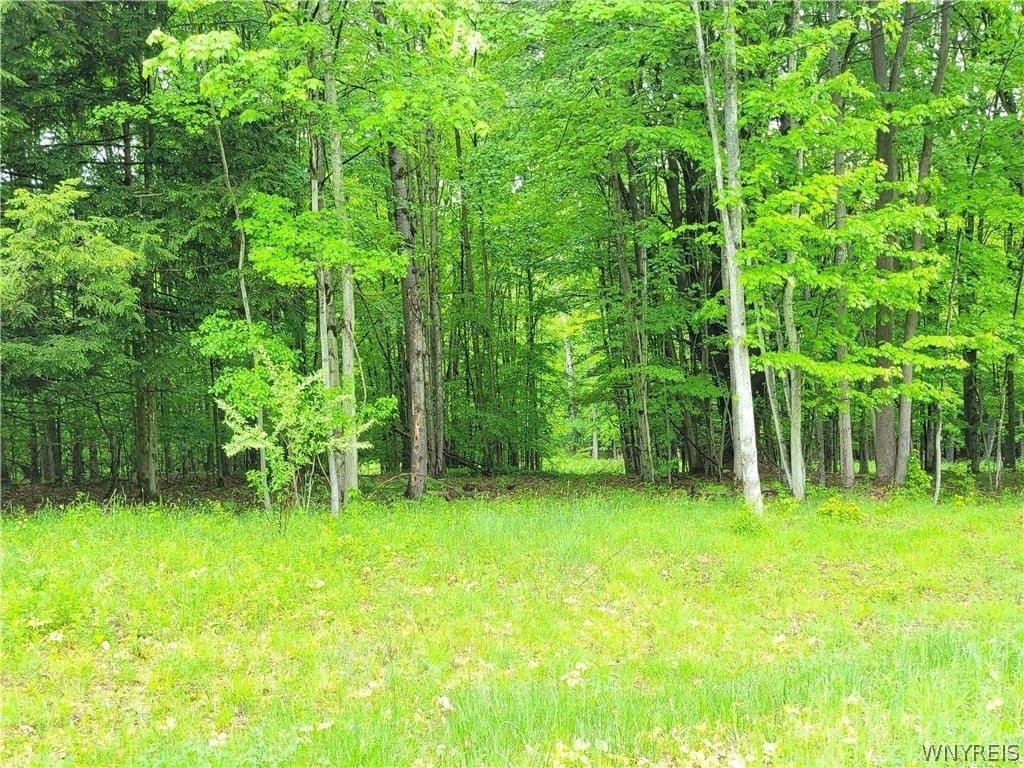 Picture 3