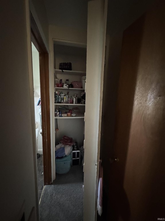 Picture 17