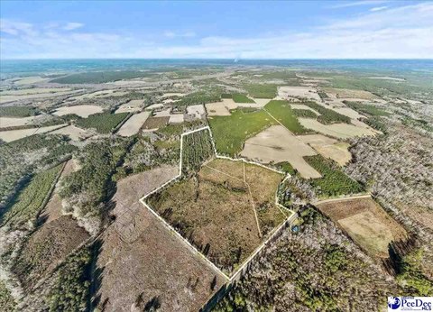 Recreational Hunting Tract with Interior Roads