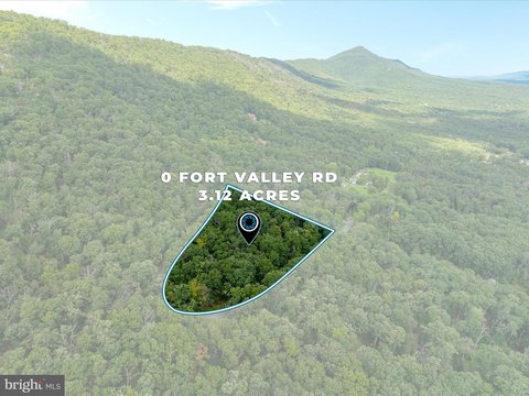 Three Acre Lot in Luray