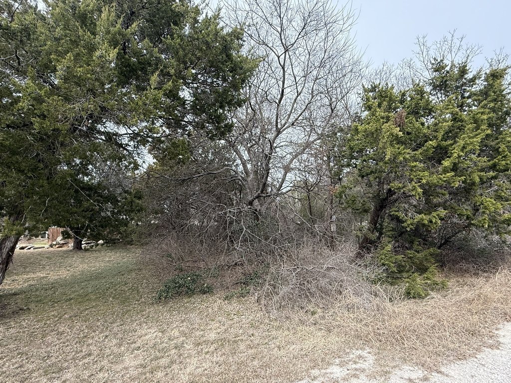 Picture 2