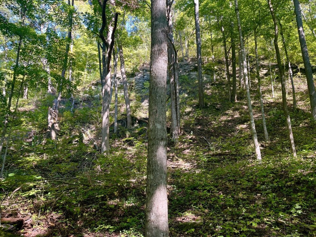 Picture 2